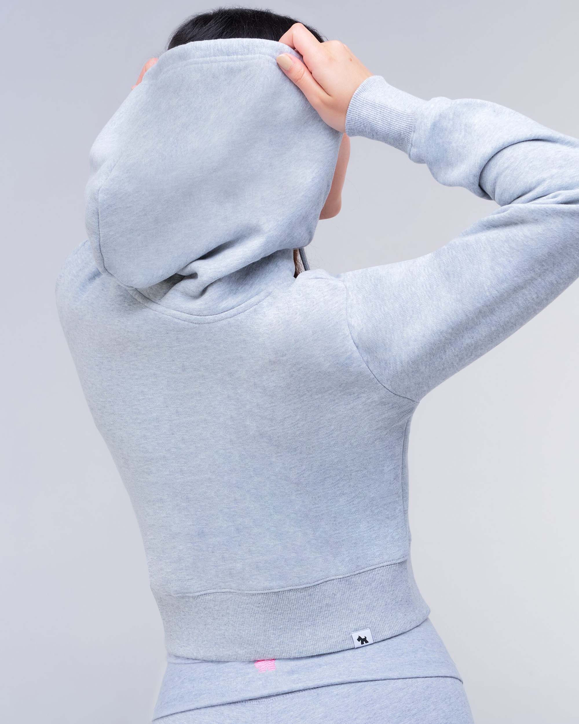 Emely Relaxed Fit Pullover Hoodie in Grey Mix - hood up, back