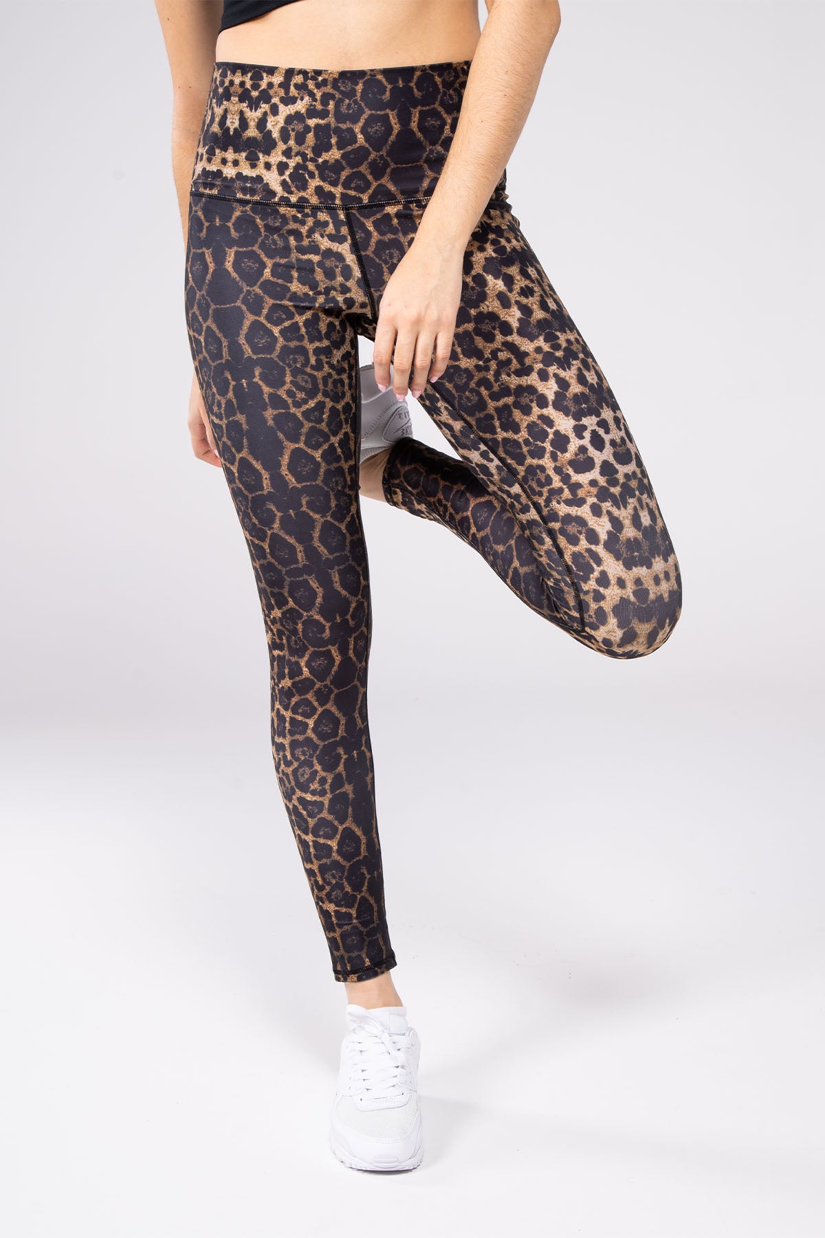Paprika - 5" Band Legging